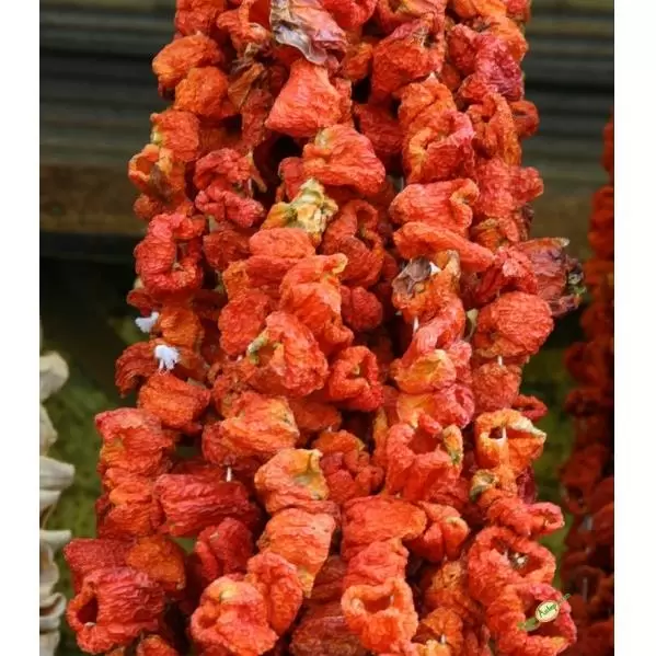 11-Tatlı-Biber-Kurusu